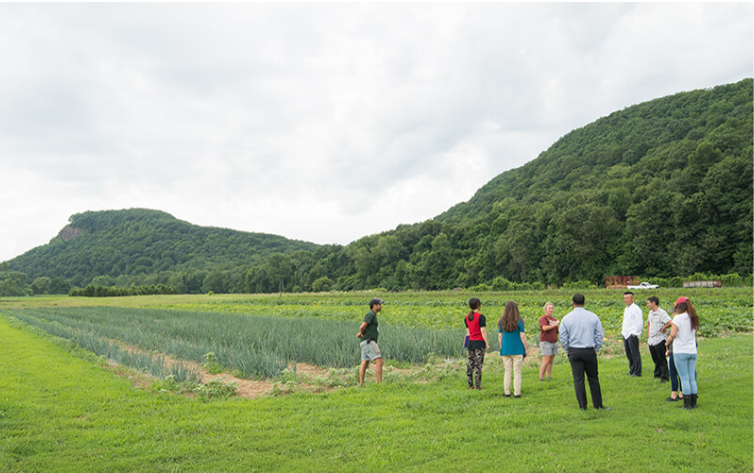 Local & Sustainable Procurement