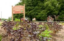 Our Gardens