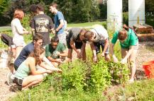 UMass Permaculture